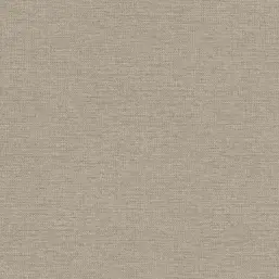  Rasch Jolly 970647
