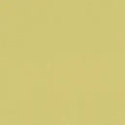  Rasch Kalahari 449839