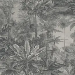  Rasch Kerala 551198