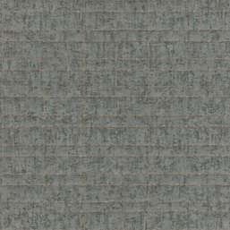  Rasch Kerala 551334