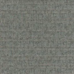  Rasch Kerala 551334