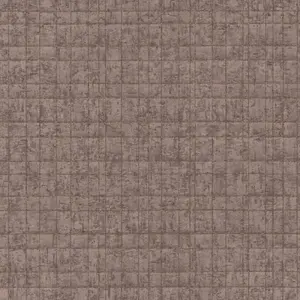  Rasch Kerala 551341 -  1