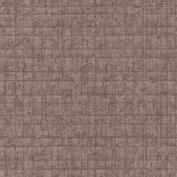  Rasch Kerala 551341