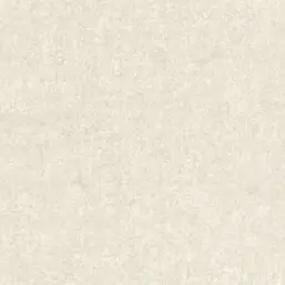  Rasch Kerala 551747