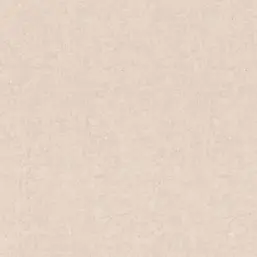  Rasch Kerala 551754