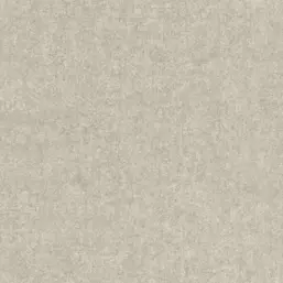  Rasch Kerala 551778
