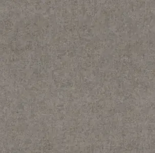  Rasch Kerala 551792 -  1