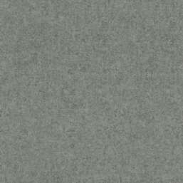  Rasch Kerala 551846