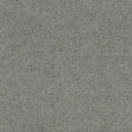  Rasch Kerala 551846