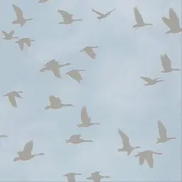  Rasch Kids & Teens 2 503357