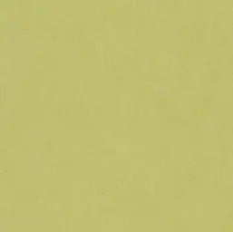  Rasch Kids & Teens 3 247459