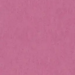  Rasch Kids & Teens 3 247466