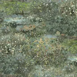  Rasch Maximum XVI  915822