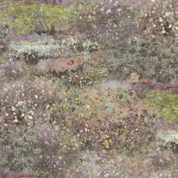  Rasch Maximum XVI  915839