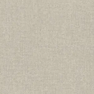  Rasch Metal Spirit 970517 -  1