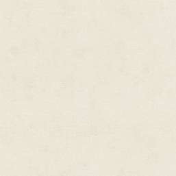 Обои Rasch Natural Colors 408126