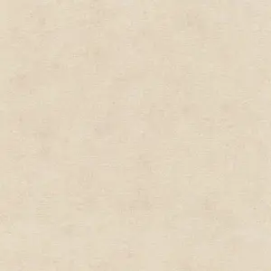  Rasch Natural Colors 408133 -  1