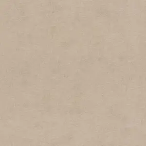  Rasch Natural Colors 408164 -  1