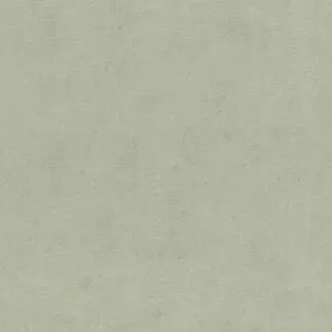  Rasch Natural Colors 408171 -  1