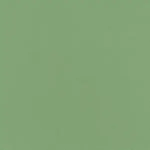  Rasch Natural Colors 537918 -  1