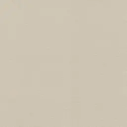  Rasch Natural Colors 555851