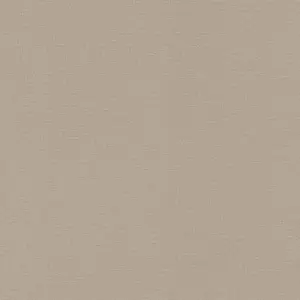  Rasch Natural Colors 555868 -  1