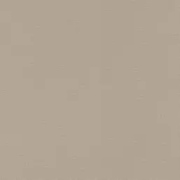  Rasch Natural Colors 555868