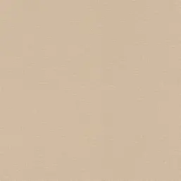  Rasch Natural Colors 555882
