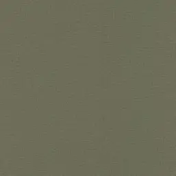  Rasch Natural Colors 555943