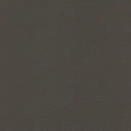  Rasch Natural Colors 555974