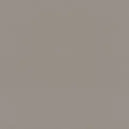  Rasch Natural Colors 687545