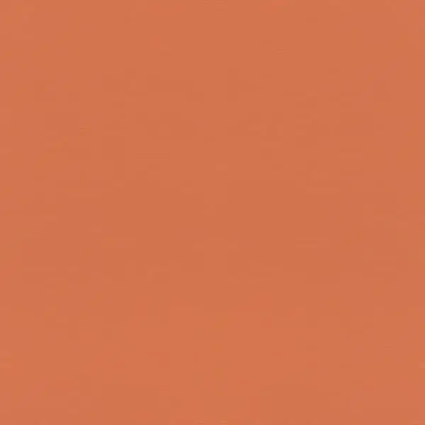  Rasch Natural Colors 687569 -  1
