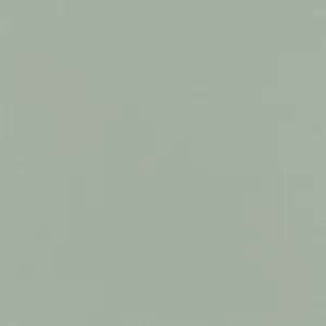  Rasch Natural Colors 690743 -  1