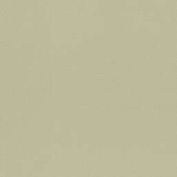  Rasch Novella 983562