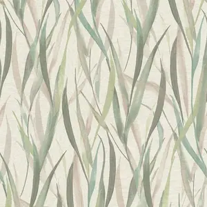  Rasch Paraiso 330212 -  1