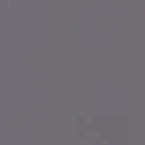  Rasch Poetry II 542448 -  1