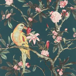  Rasch Poetry II 543353