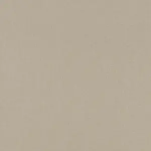  Rasch Poetry II 423921 -  1