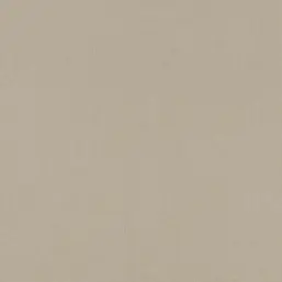  Rasch Poetry II 423921