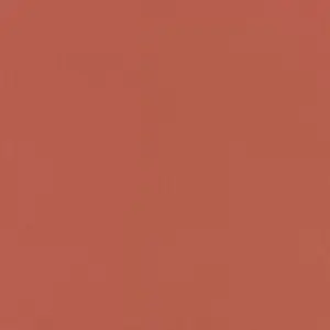  Rasch Poetry II 423969 -  1