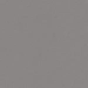  Rasch Salsa 448627 -  1