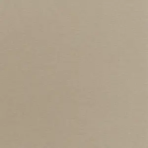 Обои Rasch Salsa 4498151 - фото 1