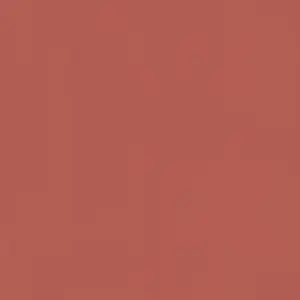 Обои Rasch Salsa 806878 - фото 1