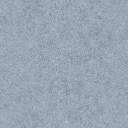  Rasch Stellar 650693