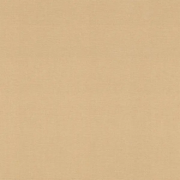  Rasch Symphony  531367 -  1