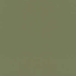  Rasch Symphony  687538