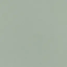  Rasch Symphony  690743