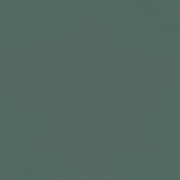  Rasch Symphony  690750