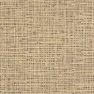  Rasch Symphony  865424 -  1