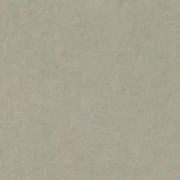  Rasch Trend 947410